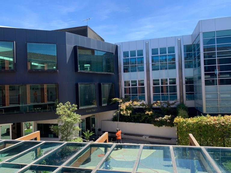 Professional Home and Business Exterior Cleaning